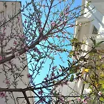 άνετο ισόγειο με αυλή Appartement Volos