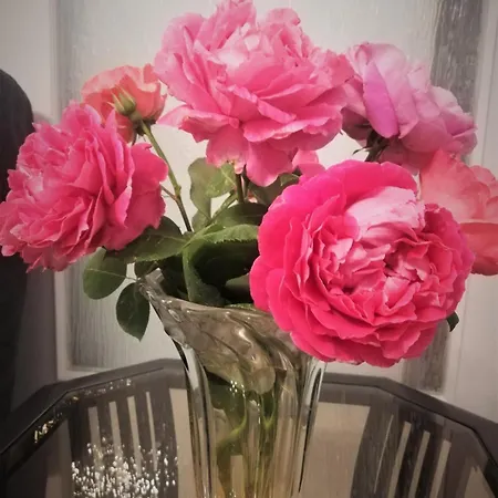 Άνετο ισόγειο διαμέρισμα με αυλή Appartement