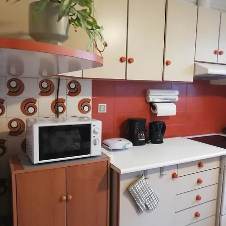 Spacious Apartment With Patio 公寓 沃洛斯