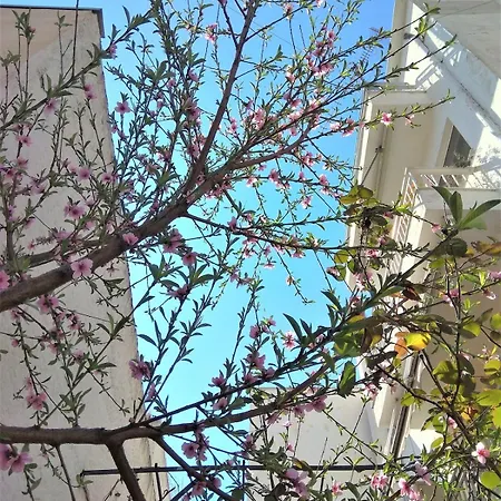 Άνετο ισόγειο διαμέρισμα με αυλή Appartement Volos