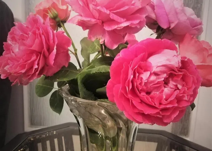 Άνετο Ισόγειο Διαμέρισμα Με Αυλή Apartamento