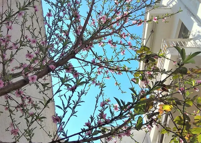 Άνετο Ισόγειο Διαμέρισμα Με Αυλή Apartamento Volos